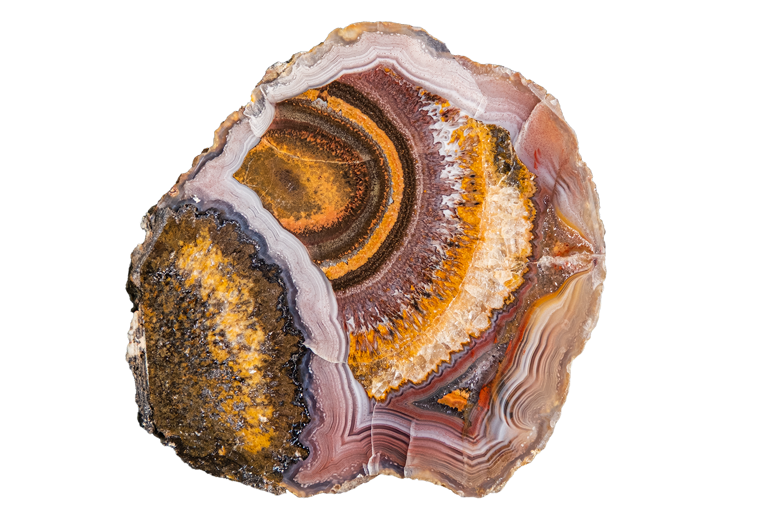 LAGB10-01b | SANTA MONICA AGATE
