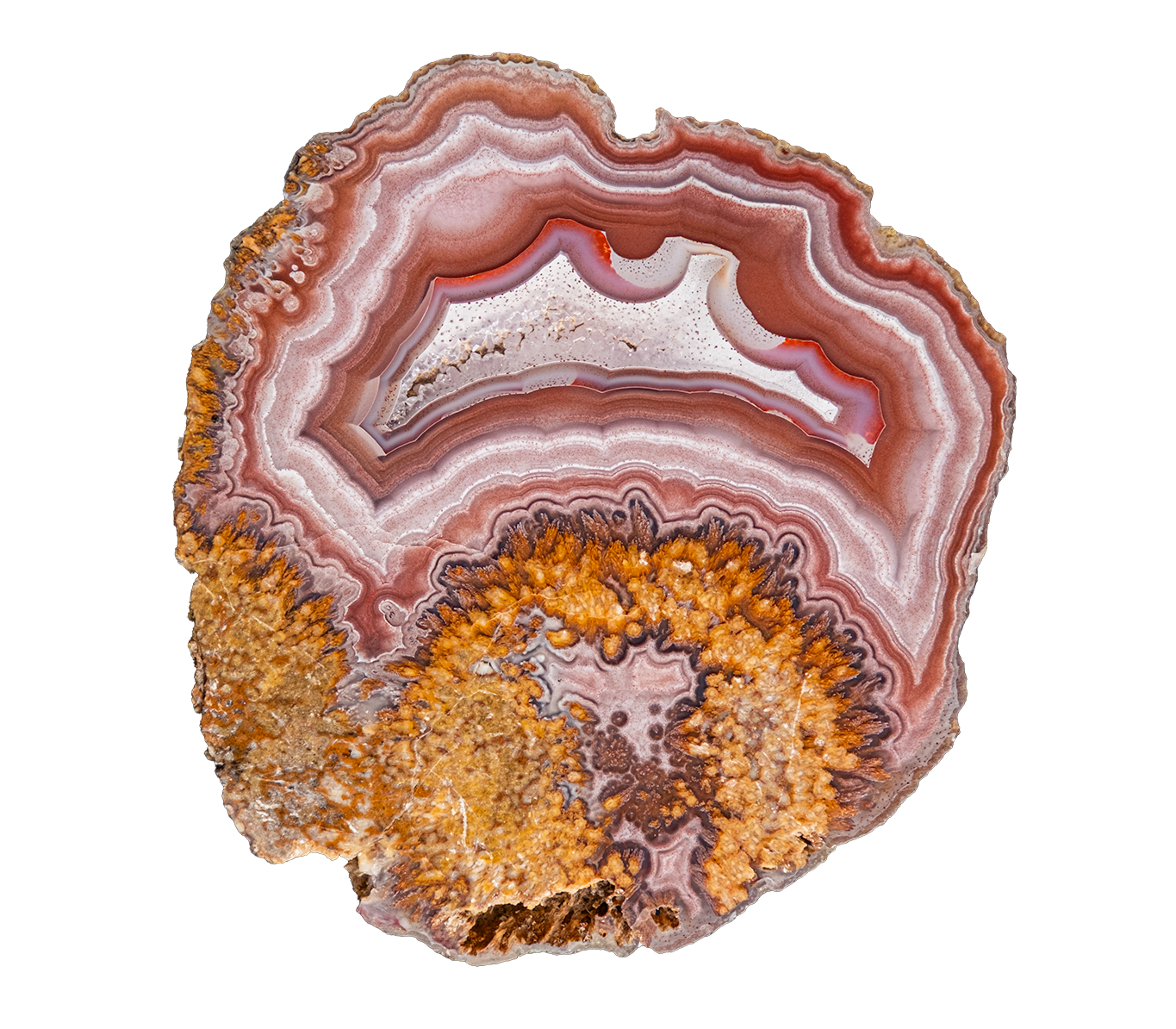 LAGB10-03a | SANTA MONICA AGATE