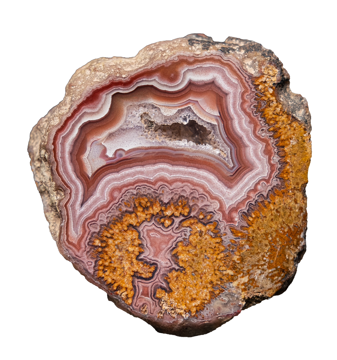 LAGB10-03b | SANTA MONICA AGATE