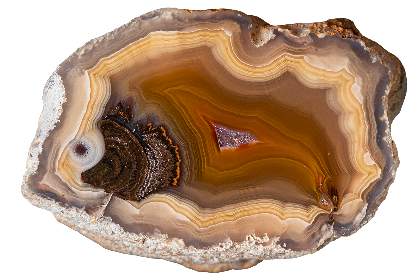 LAGB10-04b | LAGUNA AGATE