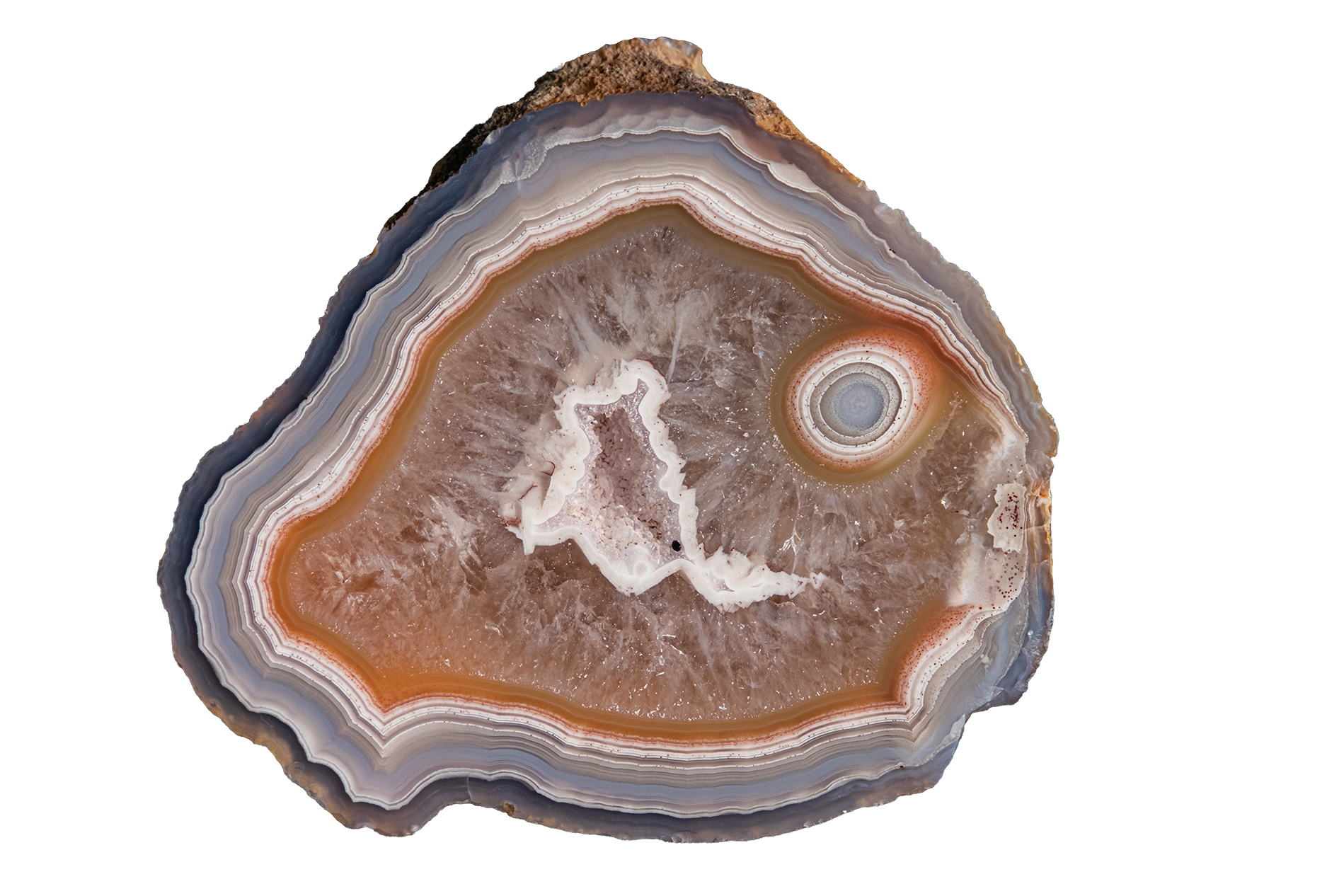 A polished slice of agate or banded stone showing concentric bands of gray, white, orange-brown, and dark charcoal, isolated on a white background.