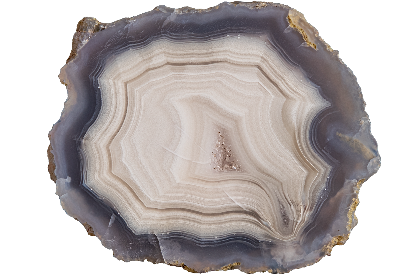 A polished slice of agate or jasper stone with concentric bands of cream, beige, gray, and muted purple-gray, with a rough brown outer matrix edge, isolated on a white background.