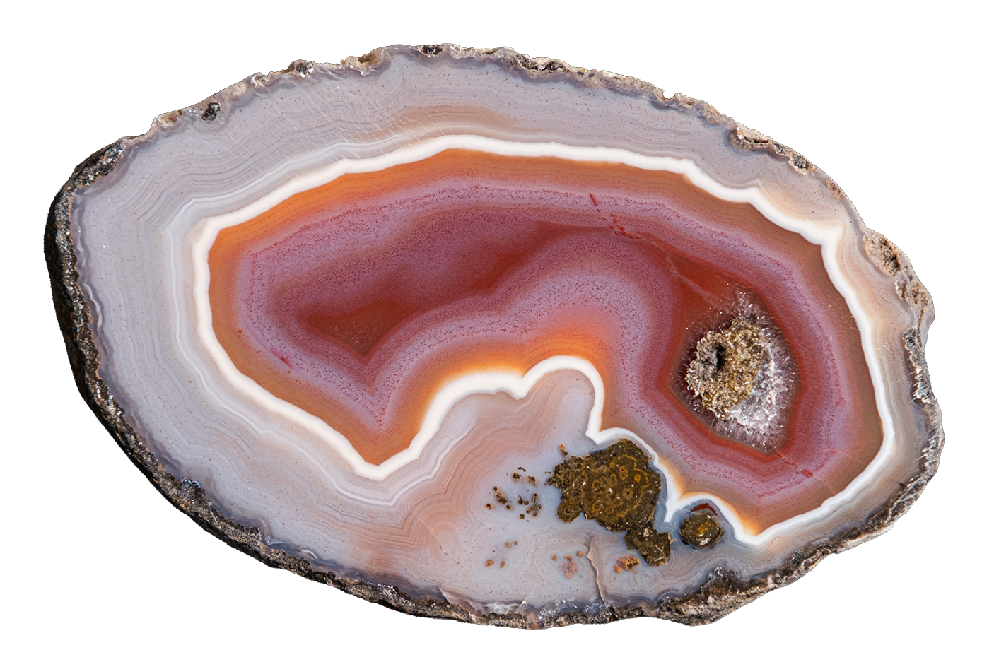 LAGB10-12a | SANTA MONICA AGATE