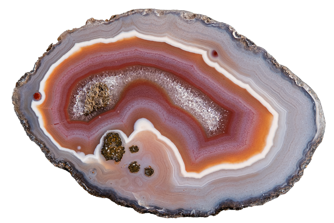 A polished slice of agate or jasper stone with concentric bands of gray, white, rust orange, pink, and dark charcoal, photographed on a plain white background.