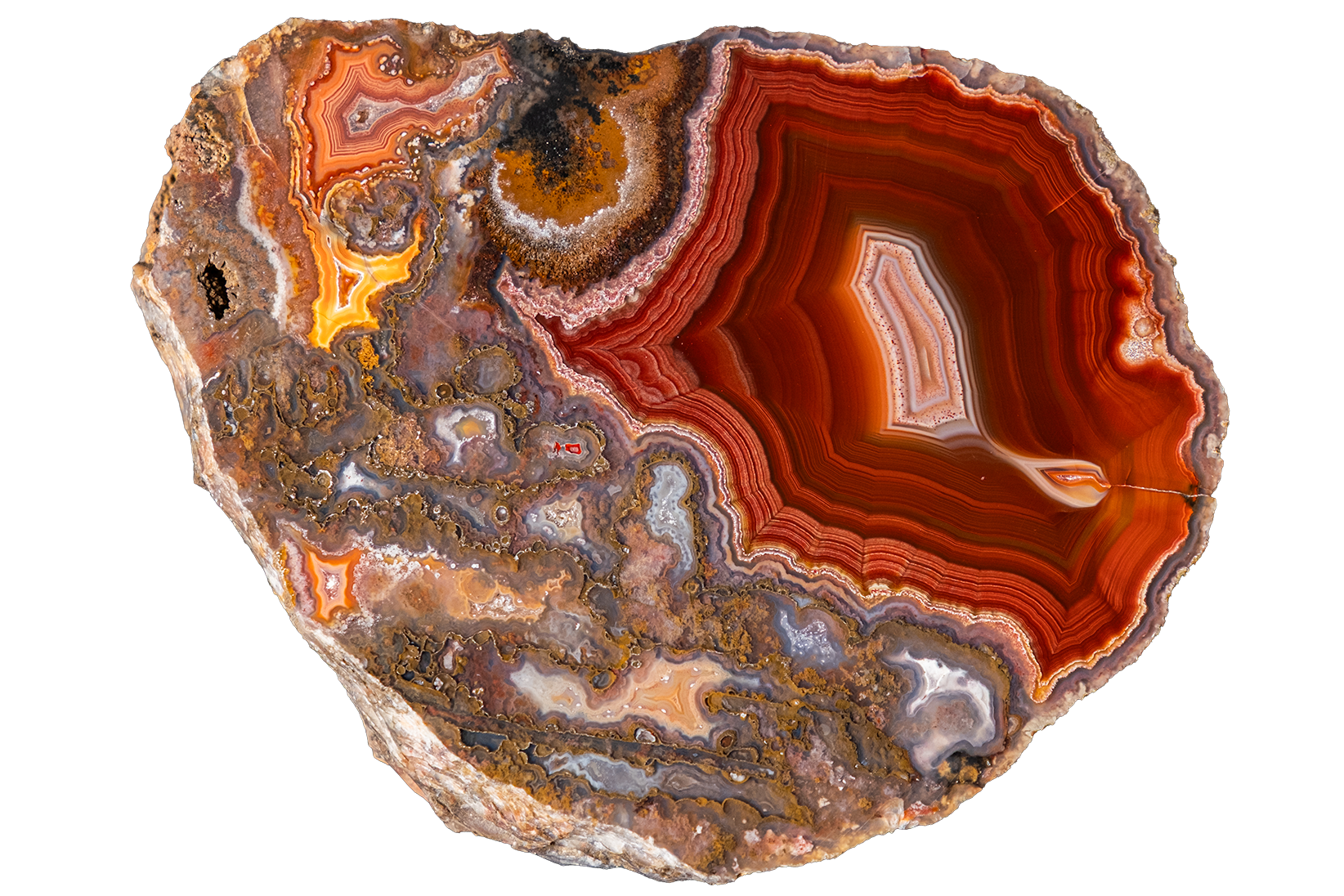 LAGB11-08 | LAGUNA AGATE