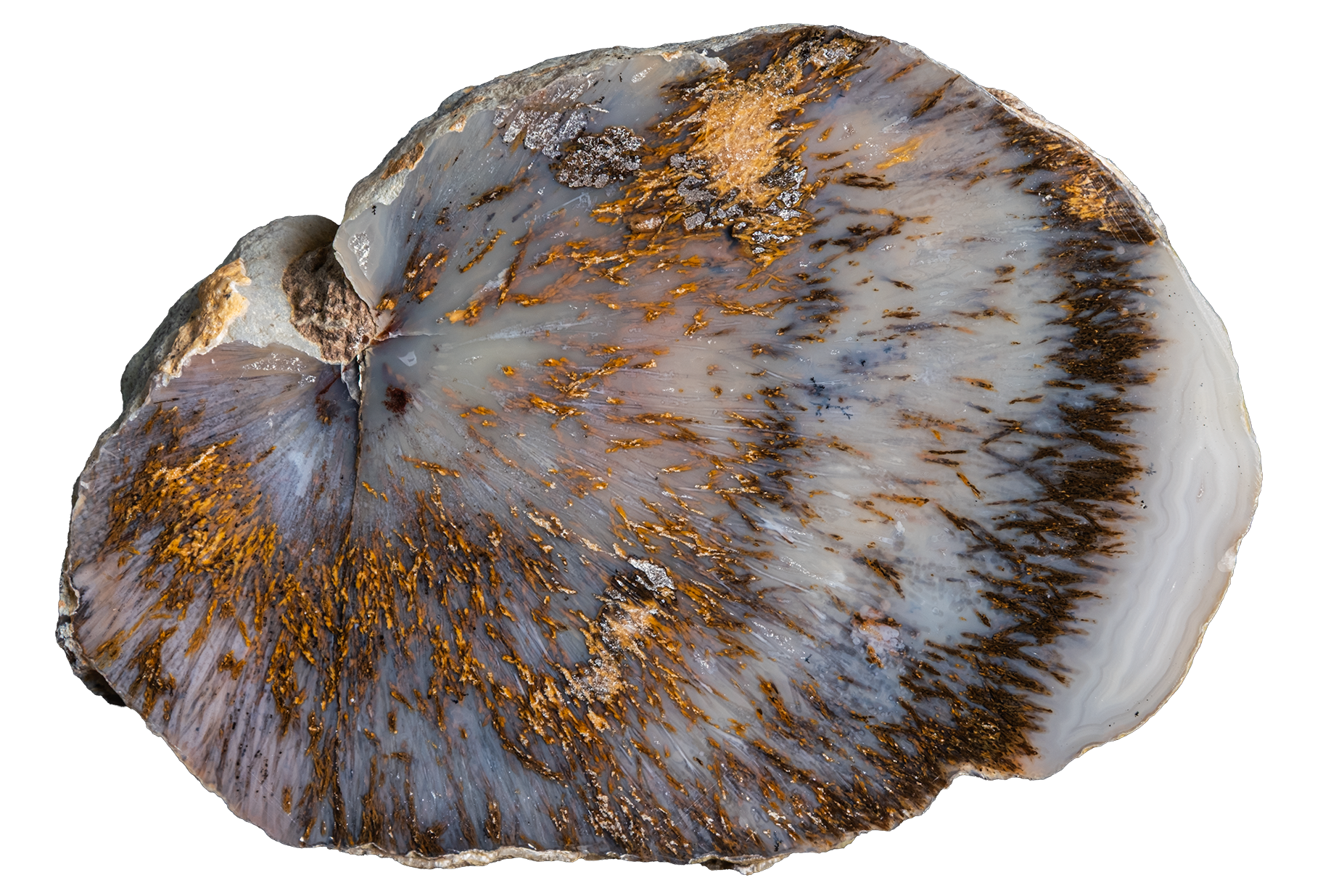 LAGB13-04 | SANTA MONICA AGATE