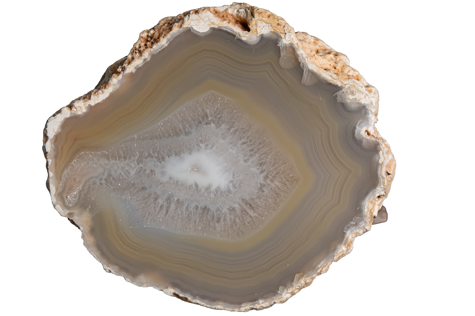 A polished slice of agate geode with concentric bands of gray, beige, and white, isolated on a solid white background.