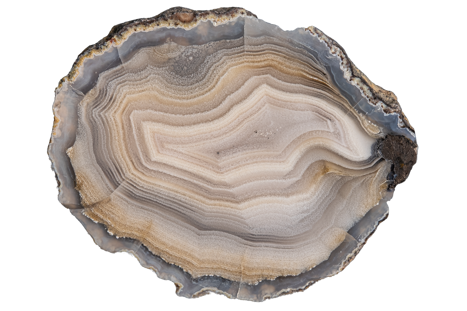 A polished agate stone slice serving as a decorative platter, featuring concentric bands of beige, gray, brown, and white, isolated on a solid white background.