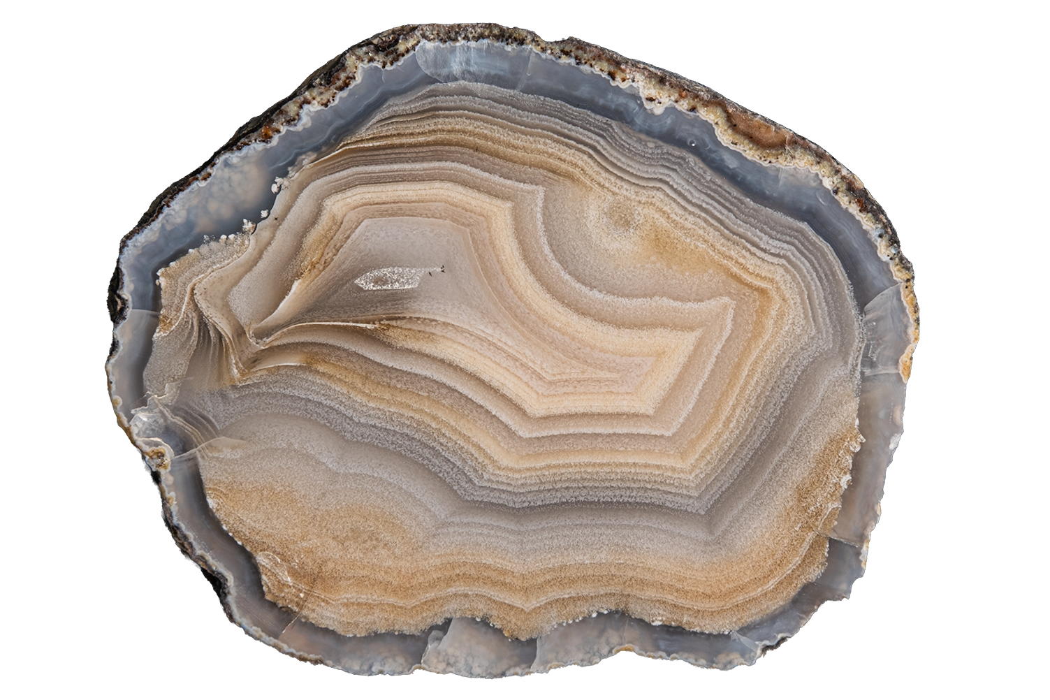 A polished slice of agate or banded stone with concentric layers in beige, tan, gray, and muted blue-gray, shown on a plain white background.