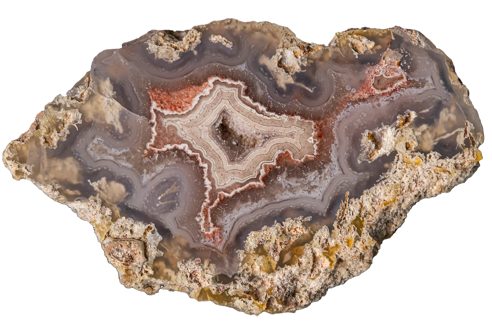 A polished agate geode slice with concentric banding in shades of brown, beige, gray, and rust-red, mounted on a rough crystalline base against a plain white background.