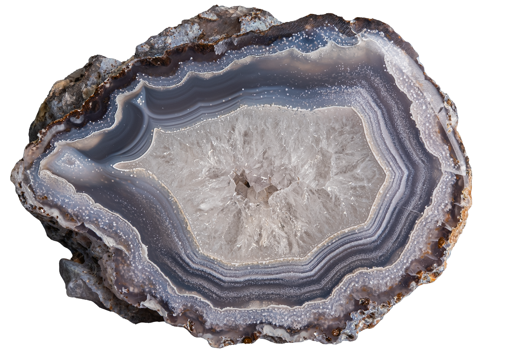 A polished cross-section of a geode or agate slice with concentric bands of gray, blue-gray, white, and brown, isolated on a white background.