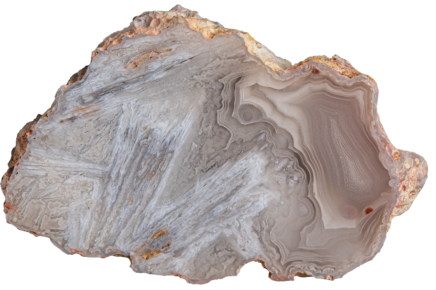 A polished slice of agate or jasper stone with layered banding in gray, white, taupe, and brown, shown on a plain white background.