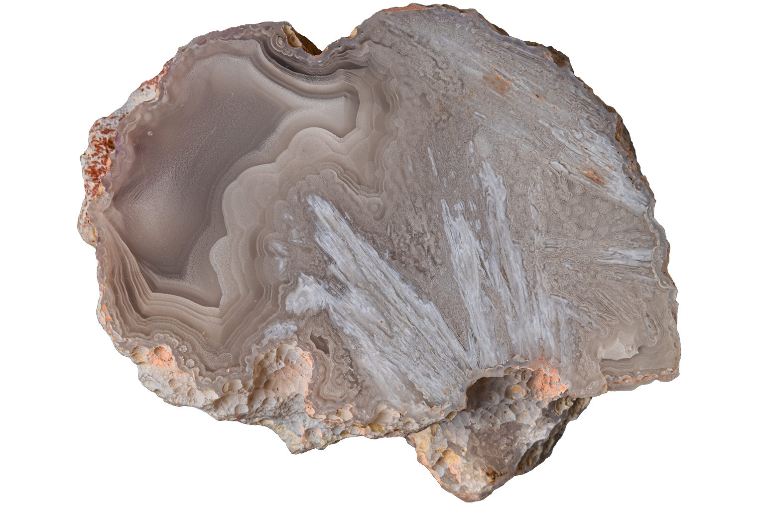 A raw agate geode slice with concentric banding patterns in shades of gray, beige, and white, with natural rough crystalline edges.