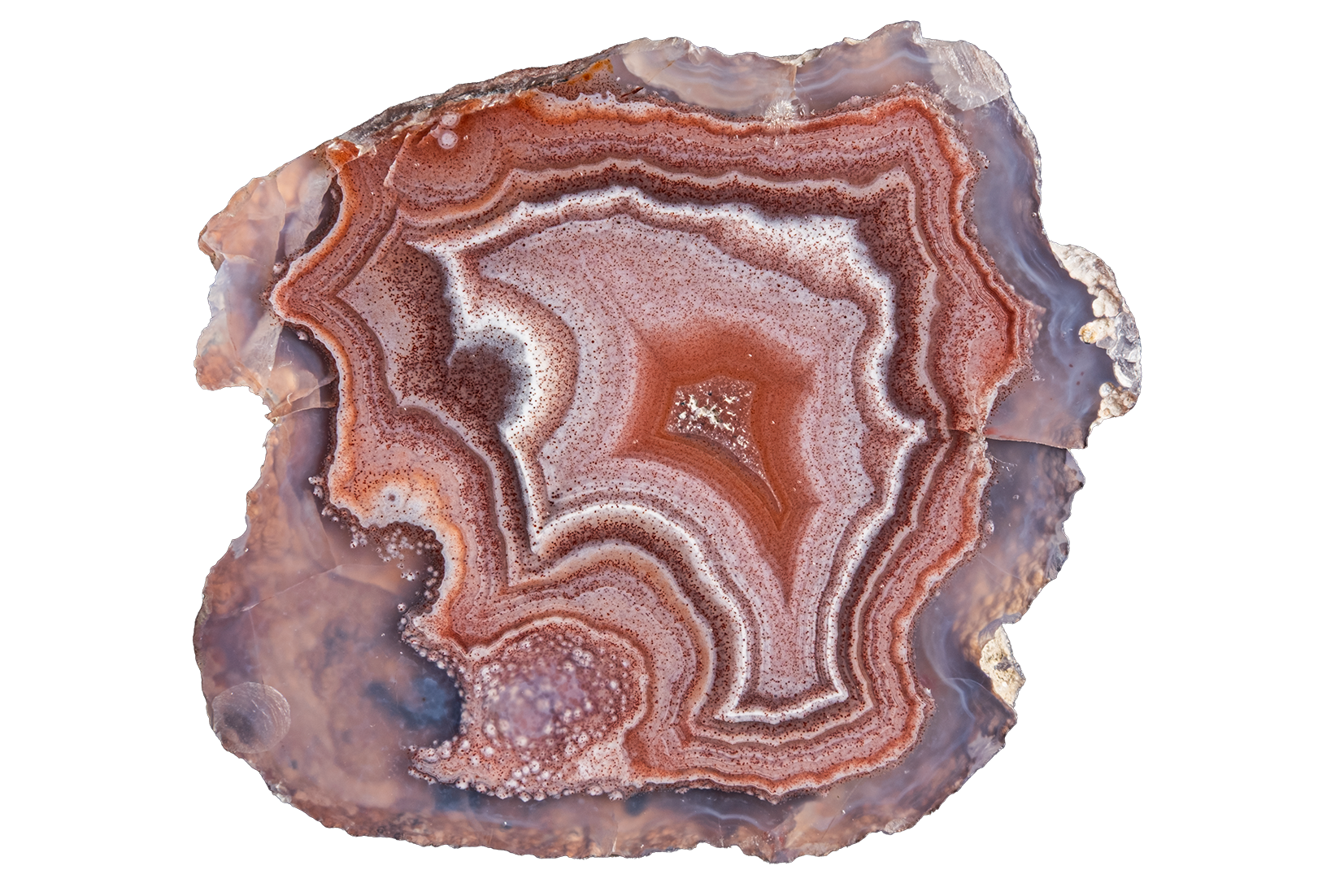 LAGB15-09 | LAGUNA AGATE