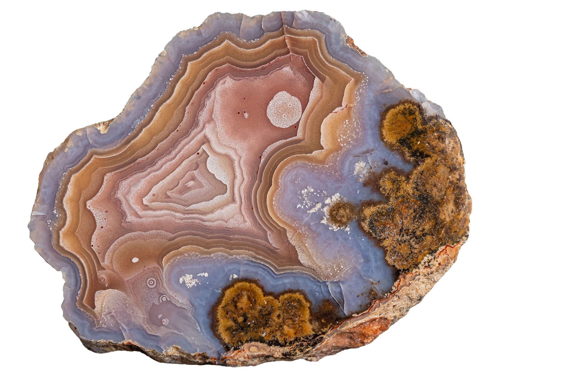 LAGB16-01a | LAGUNA AGATE
