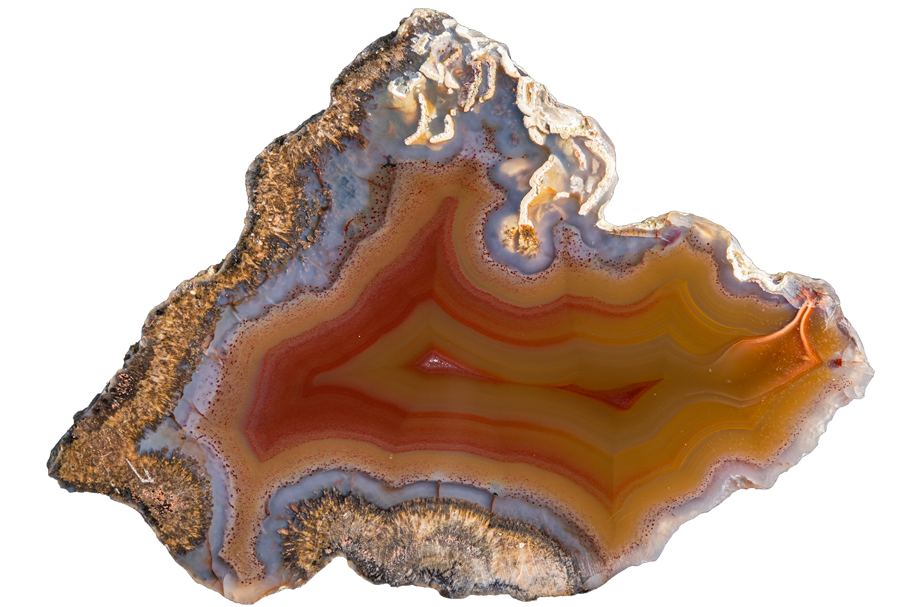 LAGB17-03a | SANTA MONICA AGATE