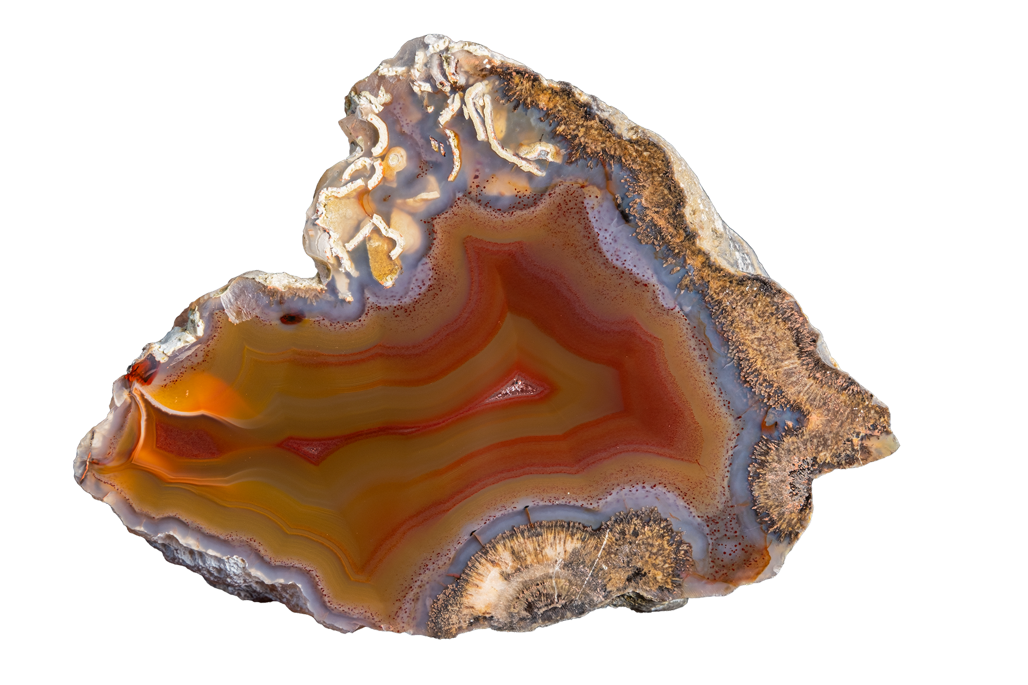 LAGB17-03b | SANTA MONICA AGATE