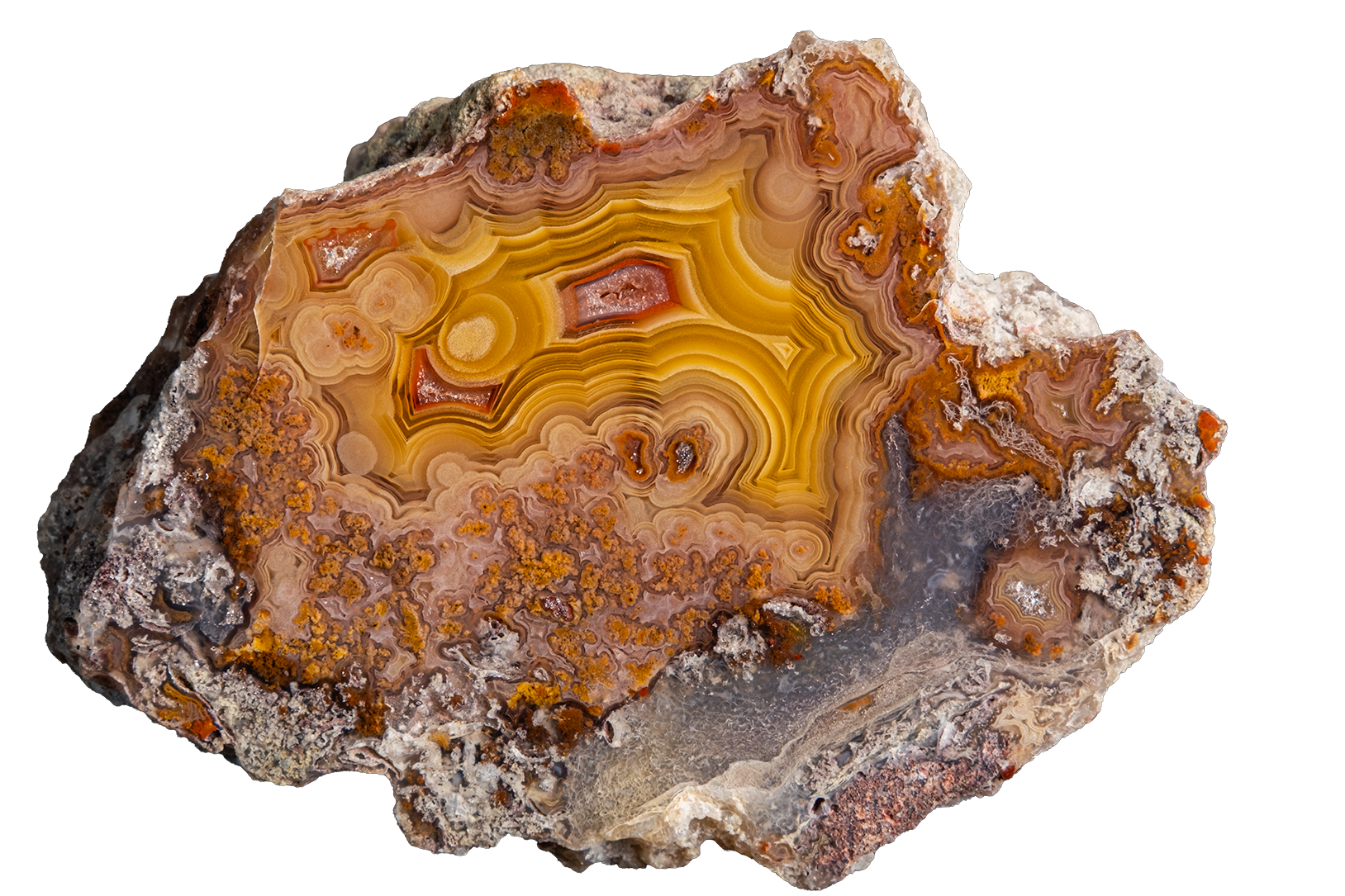 LAGB17-05a | LAGUNA AGATE