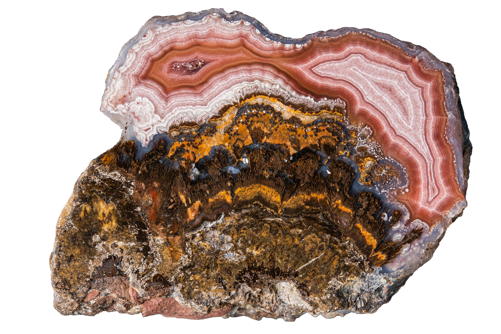 LAGB17-06a | SANTA MONICA AGATE
