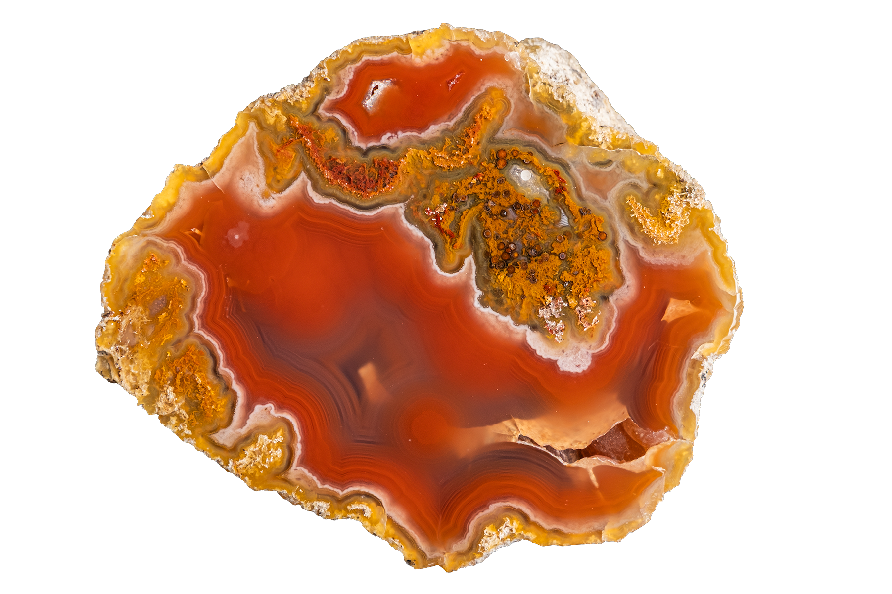 LAGB17-08a | LAGUNA AGATE