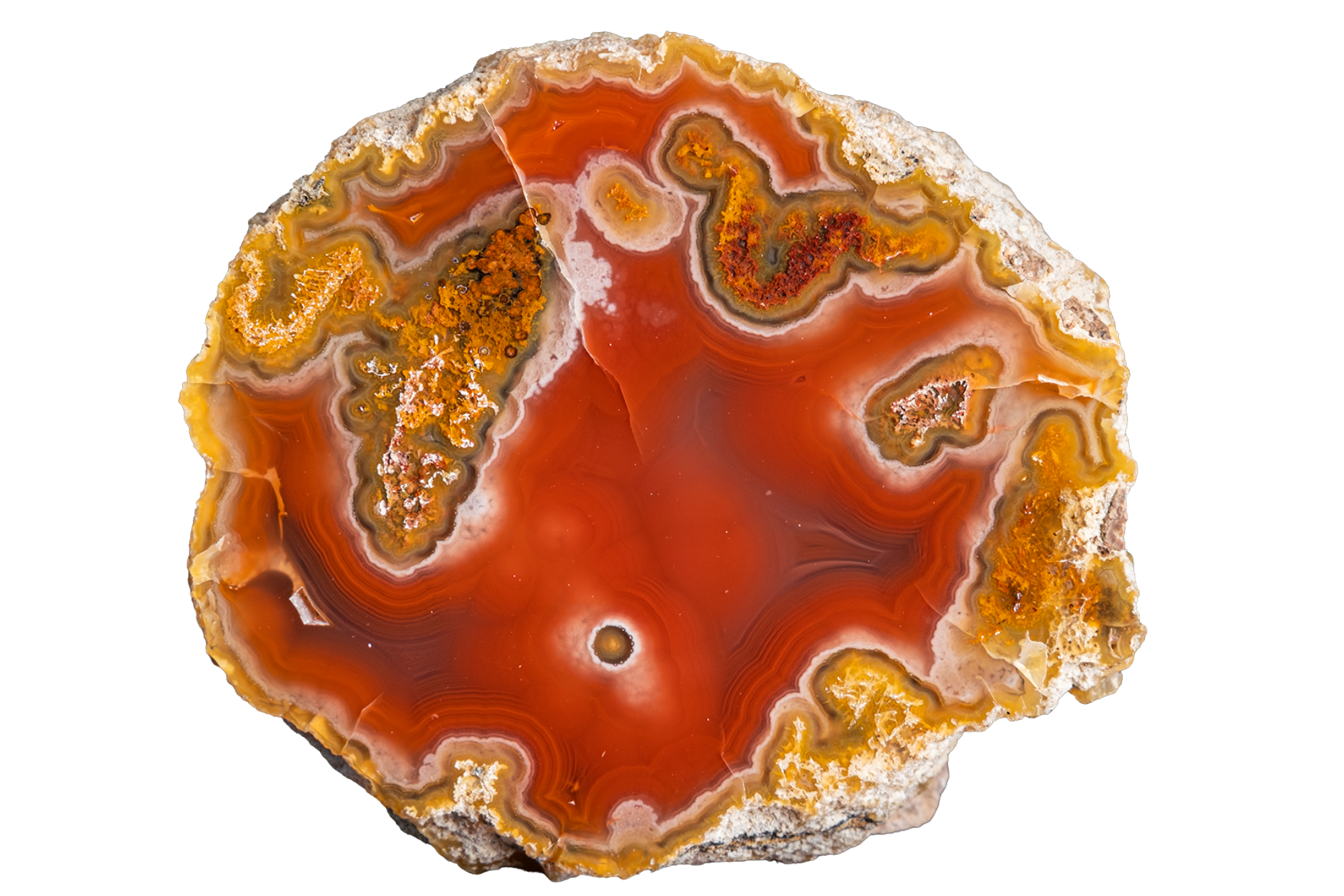 A polished slice of agate or banded stone with swirling bands of orange, red, brown, cream, and translucent amber tones on a plain white background.