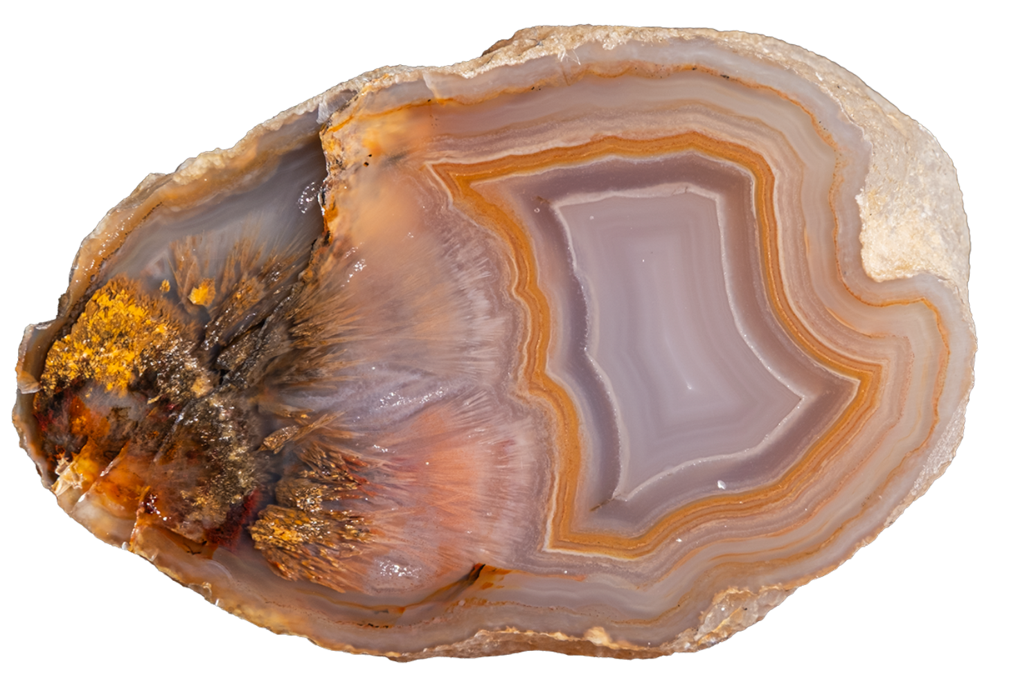 A polished agate stone slice with concentric bands of brown, gray, and orange, featuring a textured, crystalline core on a plain white background.