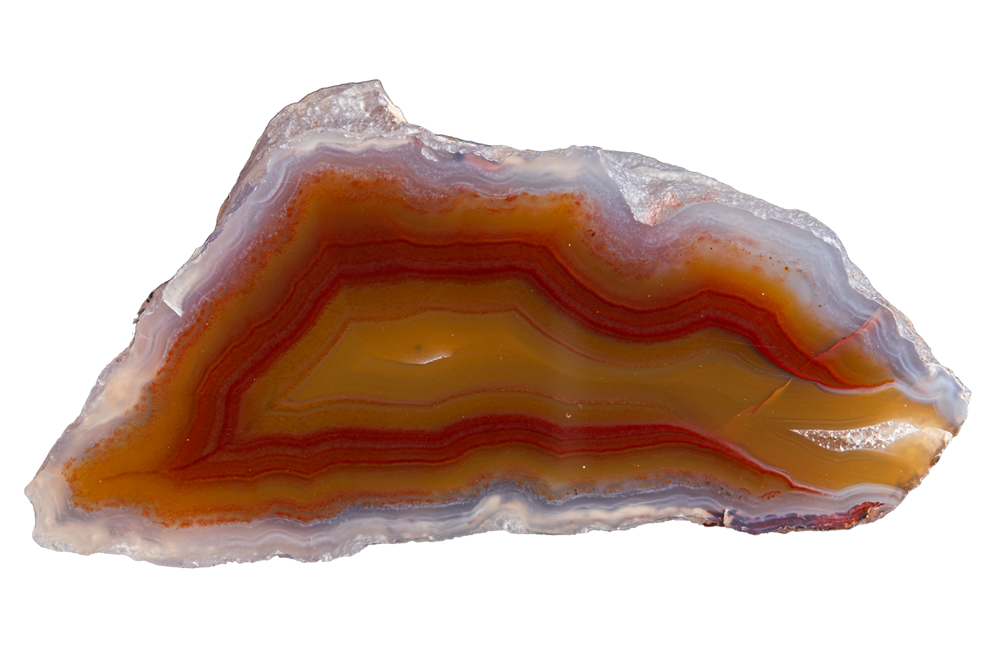 A polished slice of agate stone with concentric bands of amber orange, red, brown, and translucent white, isolated on a white background.