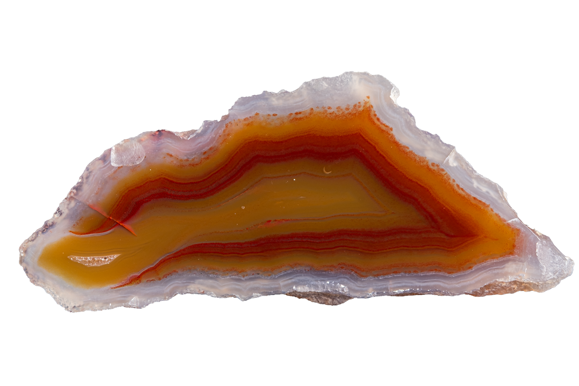 A polished slice of agate or jasper stone with concentric bands of amber orange, reddish brown, cream, and translucent white, shown on a plain white background.