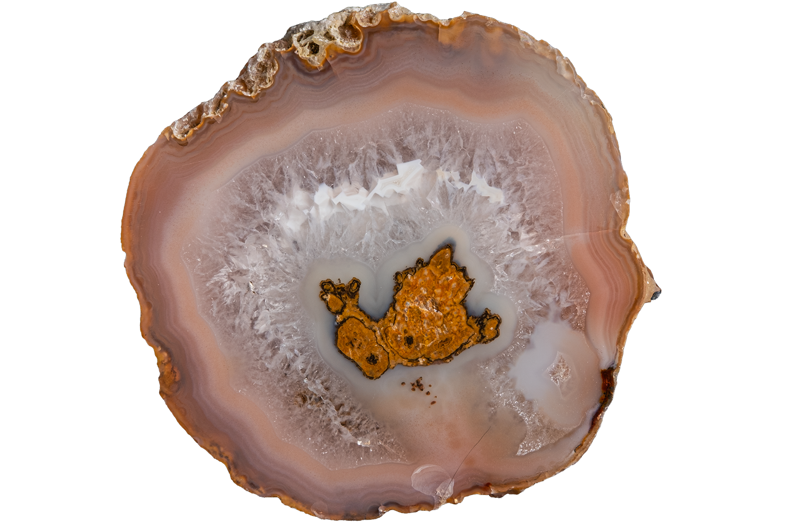 A polished slice of agate or jasper stone with concentric bands of white, pink, brown, and a small metallic gold core, isolated on a white background.