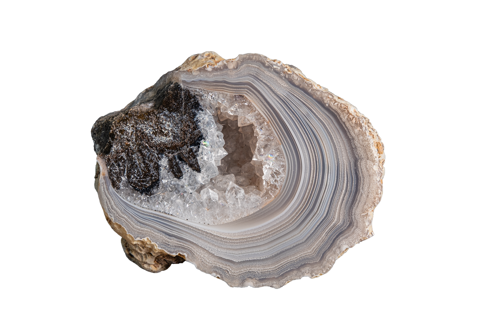 LAGB19-04 | LAGUNA AGATE
