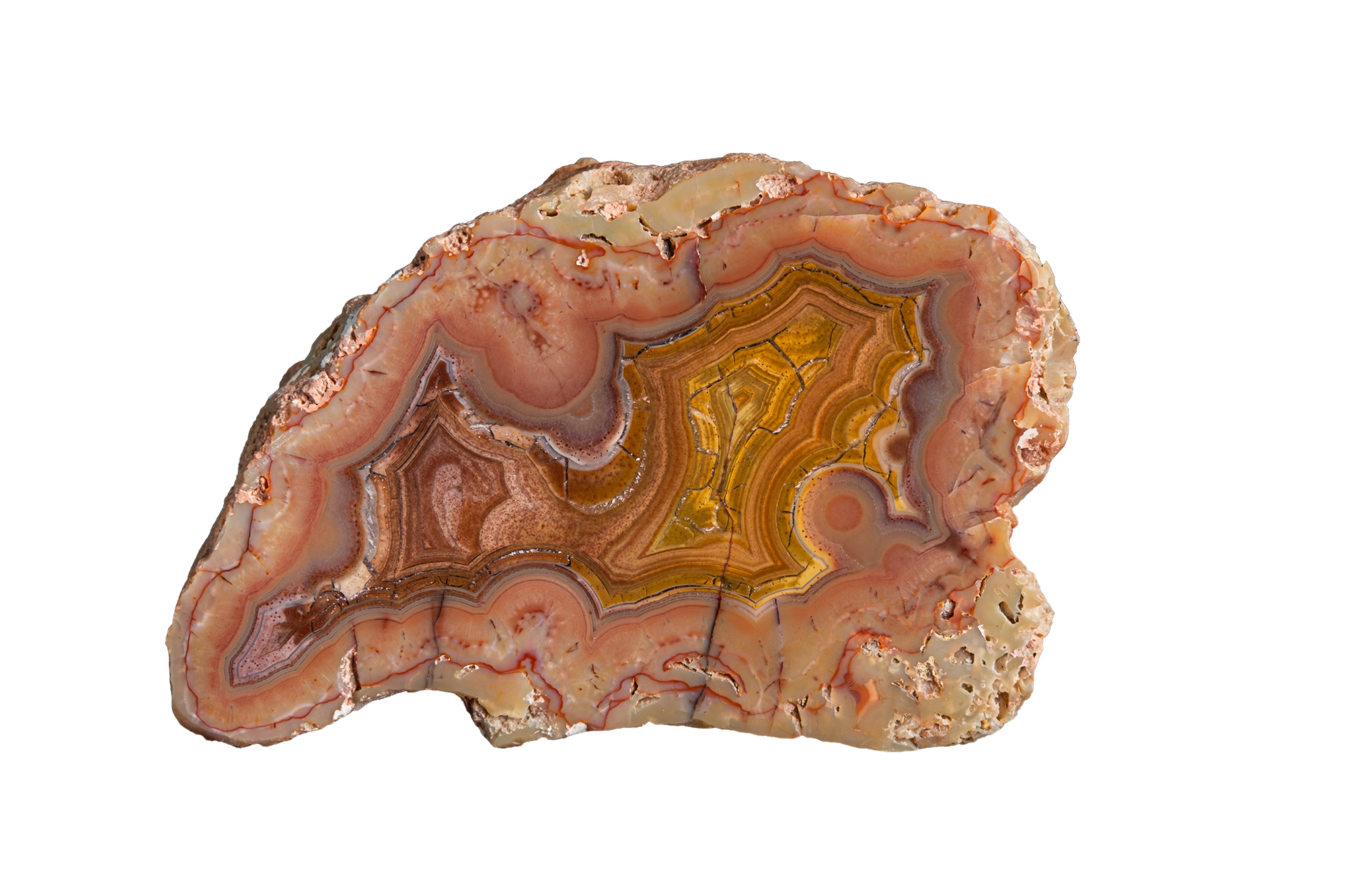LAGB19-08 | LAGUNA AGATE
