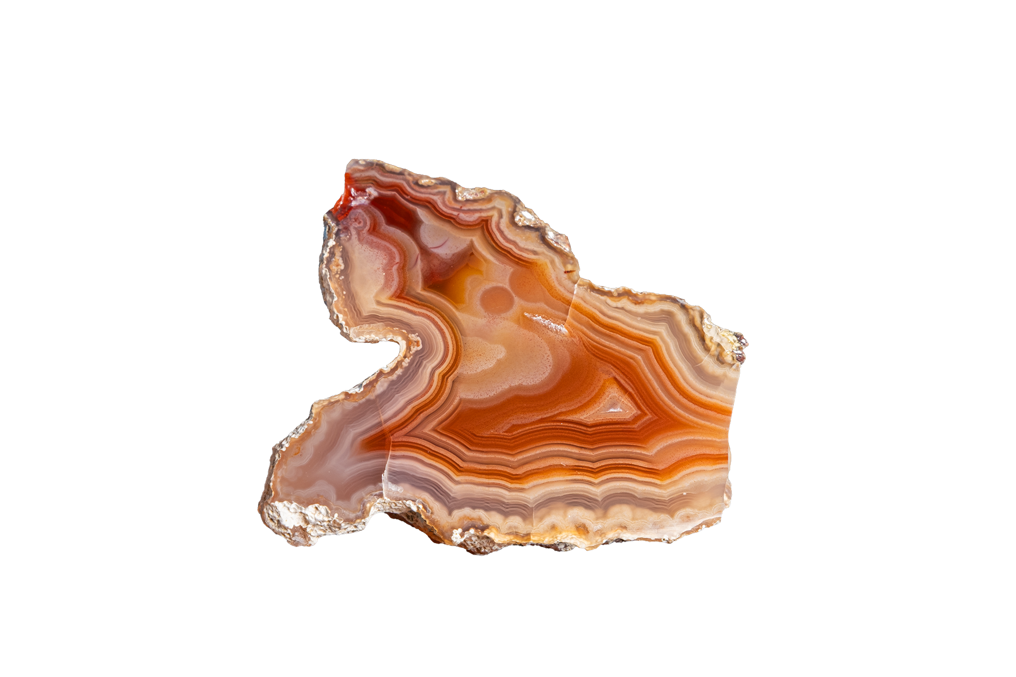 LAGB19-19 | LAGUNA AGATE