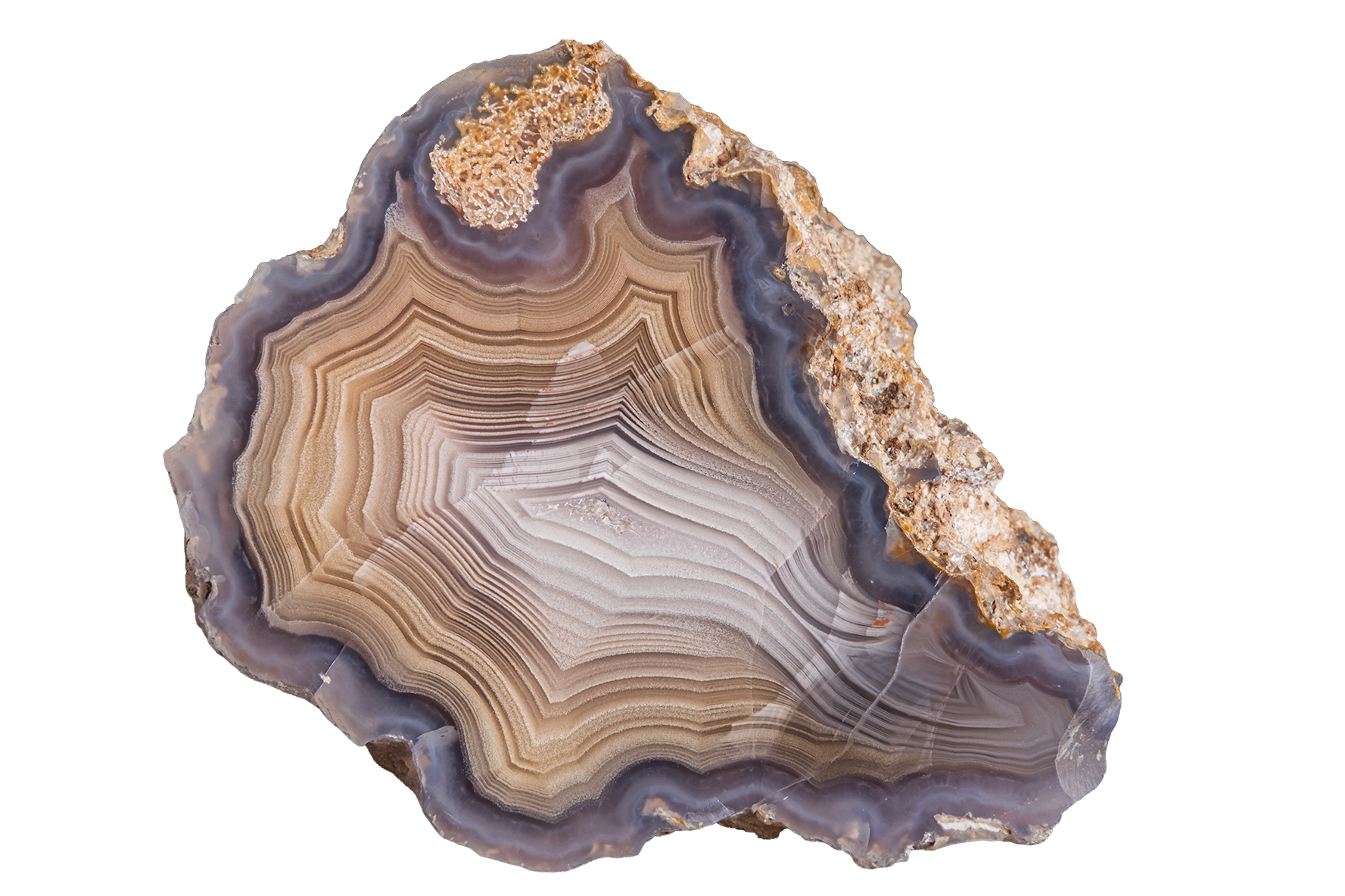 LAGB20-08 | LAGUNA AGATE