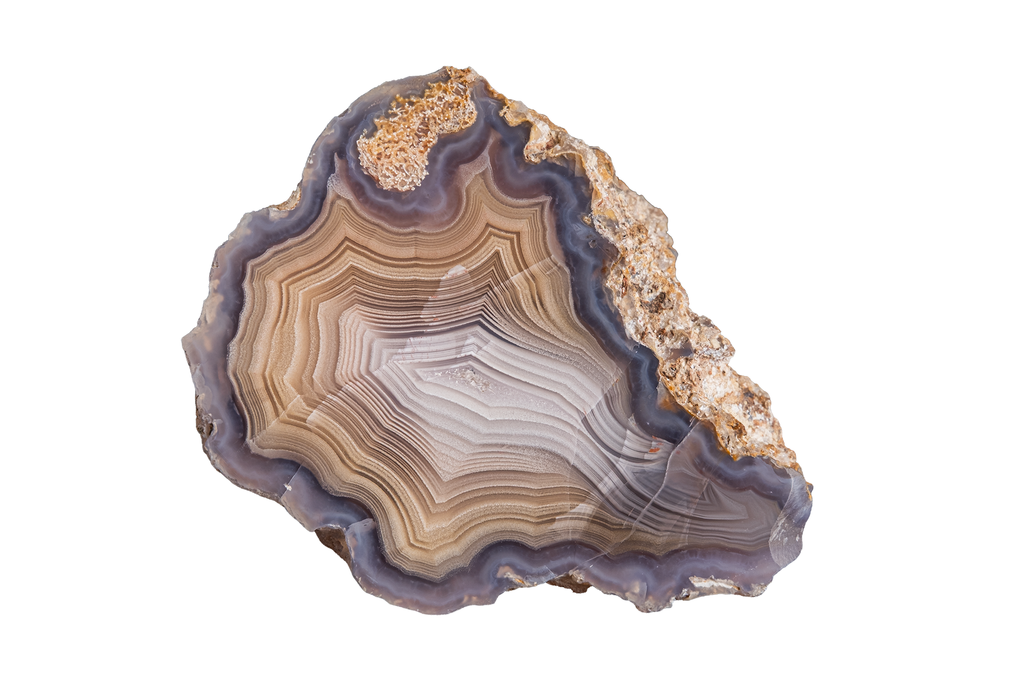 LAGB20-08 | LAGUNA AGATE