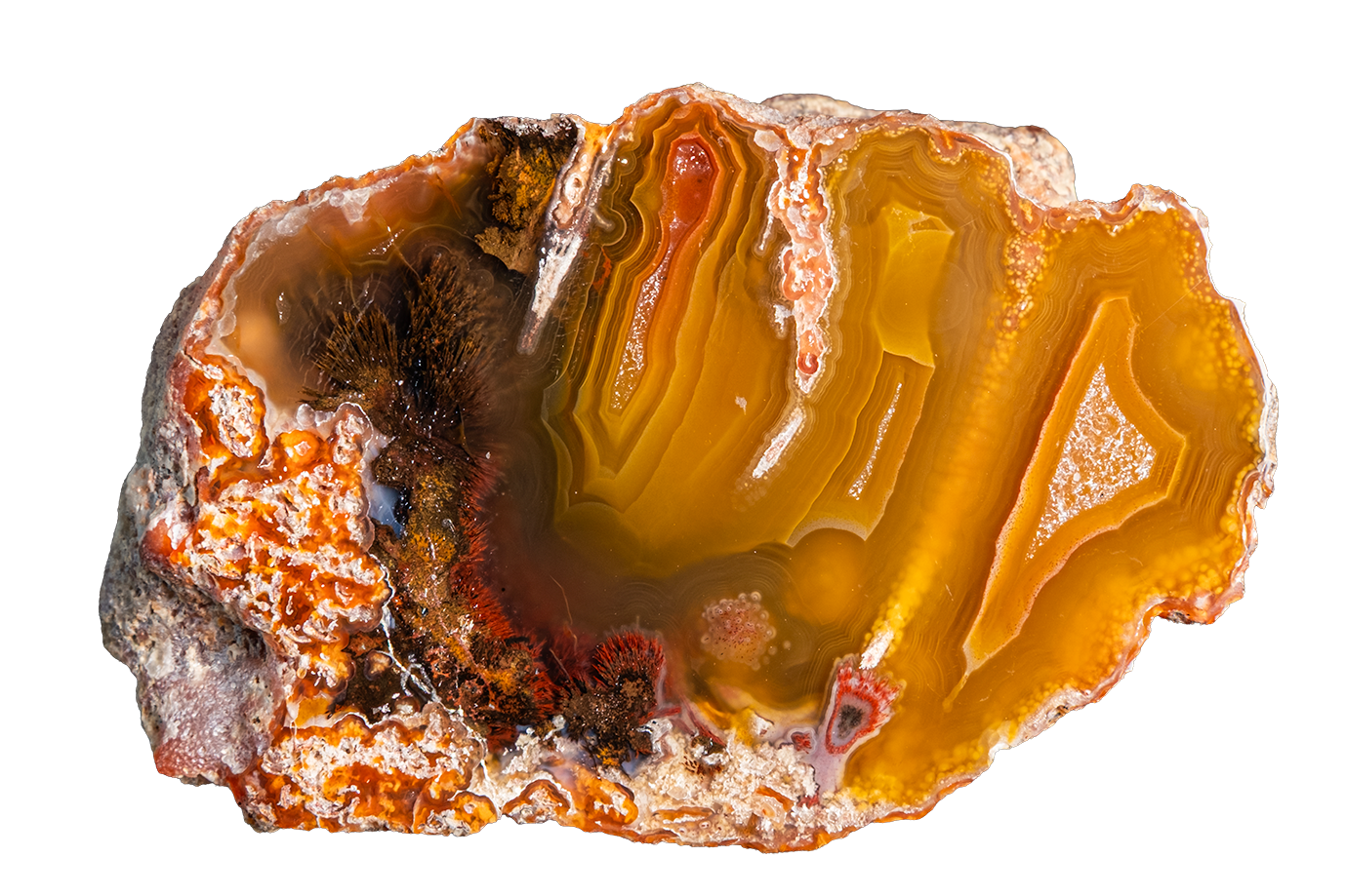 LAGB20-20 | LAGUNA AGATE
