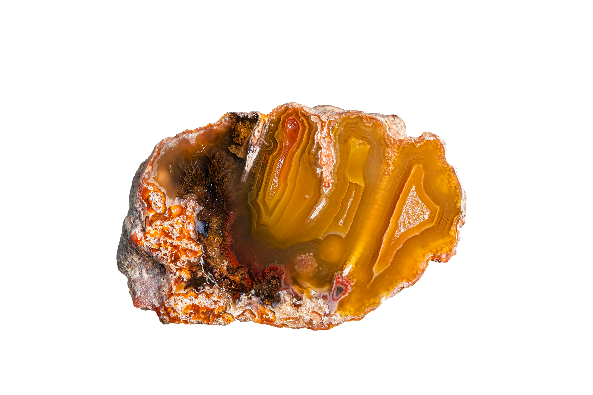 LAGB20-20 | LAGUNA AGATE