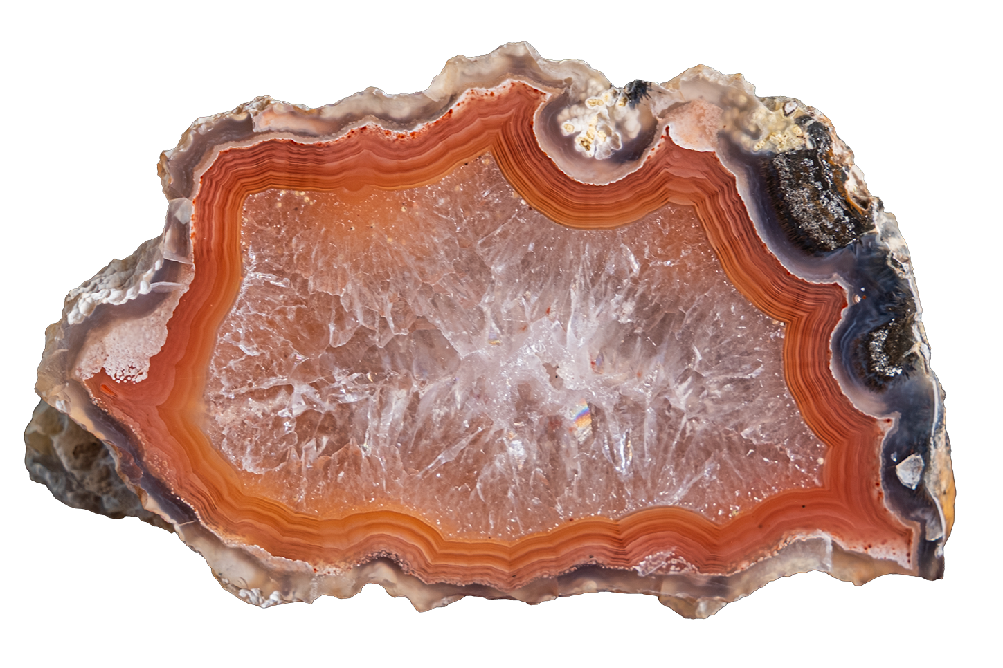 LAGB20-26 | LAGUNA AGATE