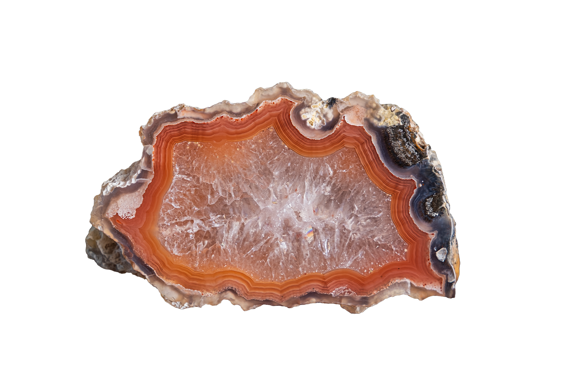 LAGB20-26 | LAGUNA AGATE