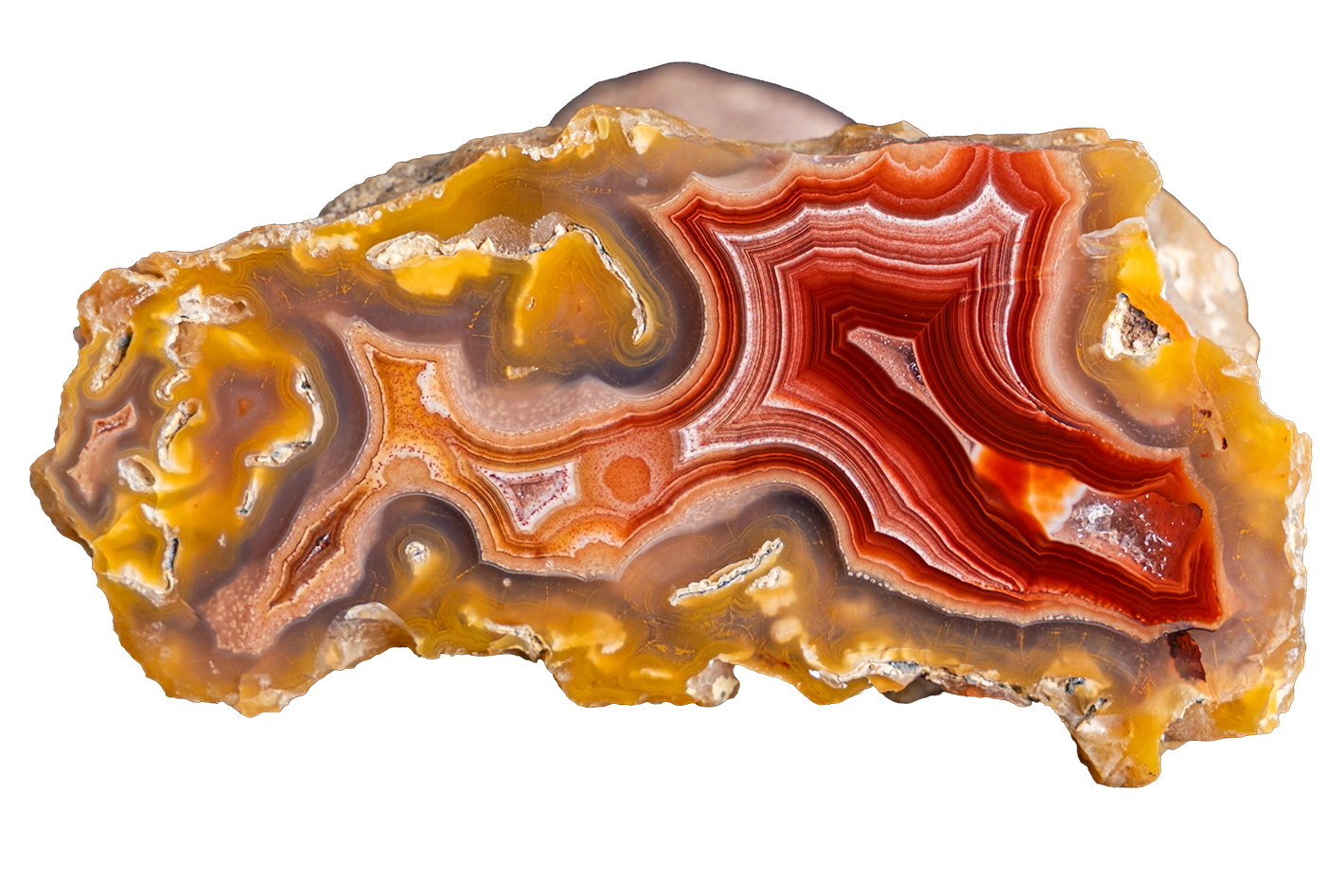 LAGB20-28 | LAGUNA AGATE