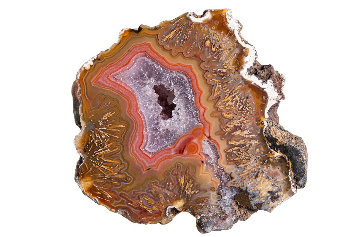 A polished slice of agate geode showing concentric bands of orange, brown, purple, and white, isolated on a solid white background.