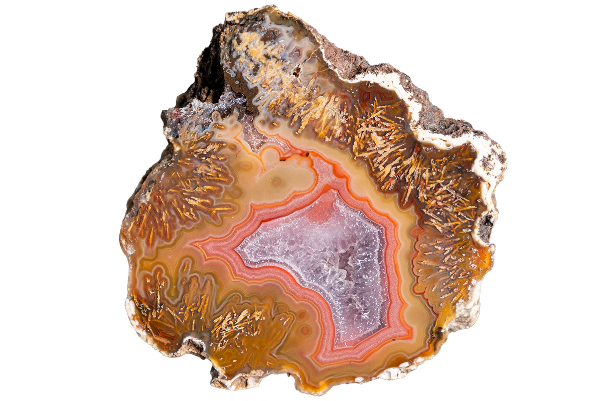 A polished slice of agate or geode stone with concentric bands of orange, brown, pink, and pale lavender, shown on a plain white background.