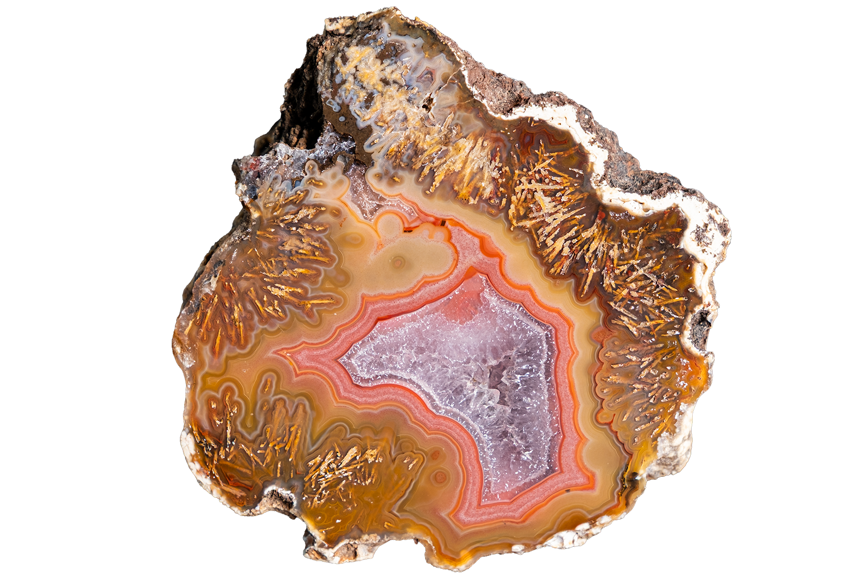 A polished slice of agate or geode stone with concentric bands of orange, brown, pink, and pale lavender, shown on a plain white background.
