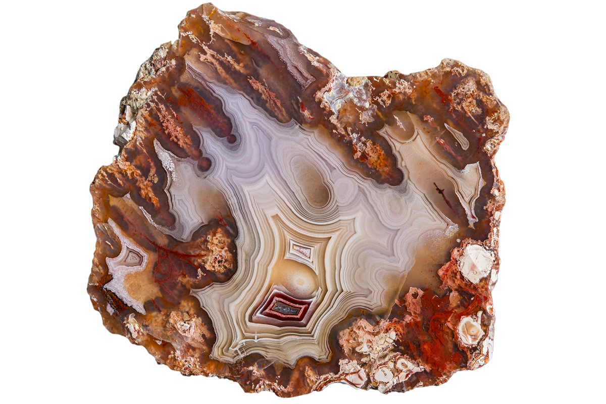 A polished slice of agate stone with concentric bands of brown, beige, cream, and reddish accents, isolated on a white background.