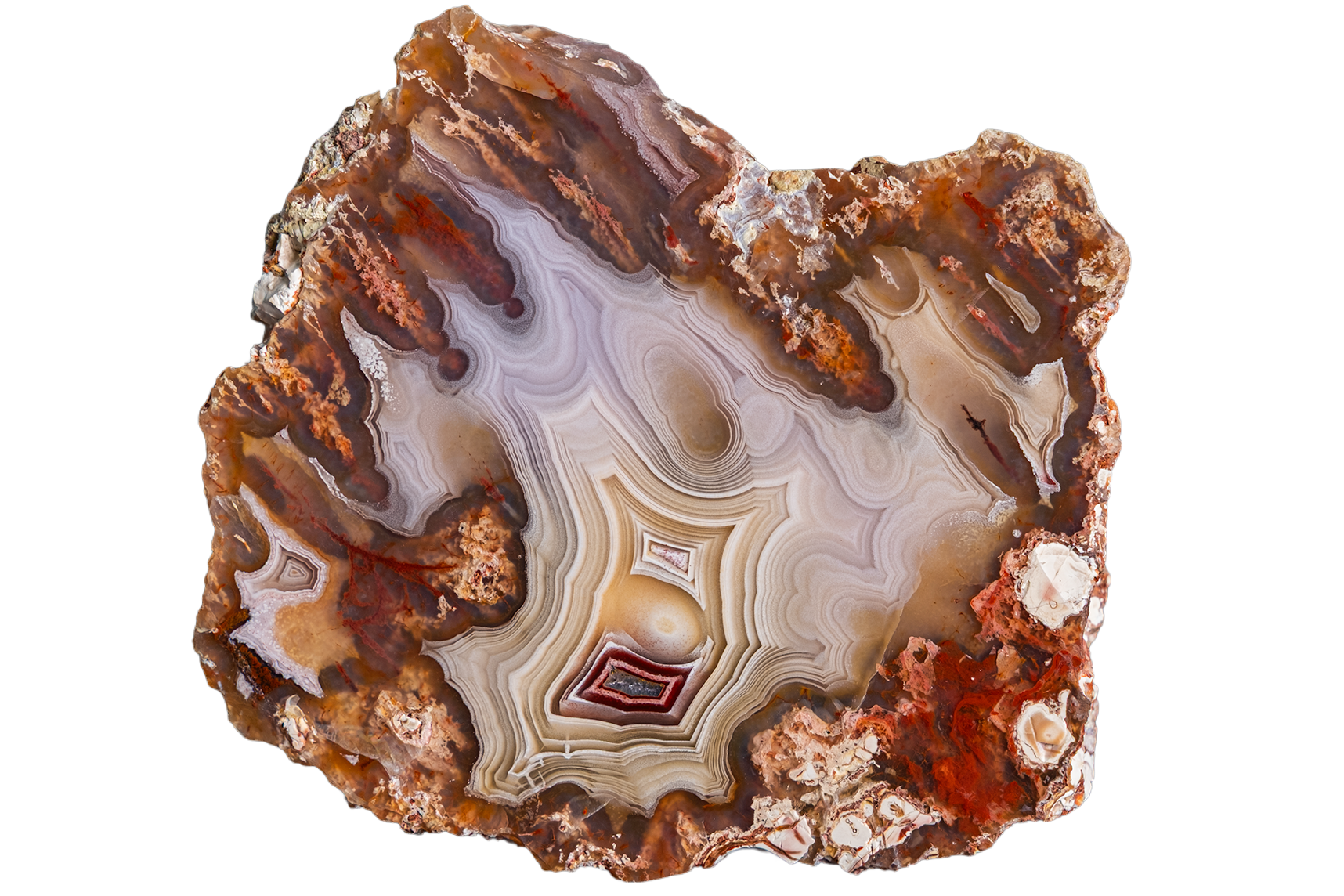 A polished slice of agate stone with concentric bands of brown, beige, cream, and reddish accents, isolated on a white background.