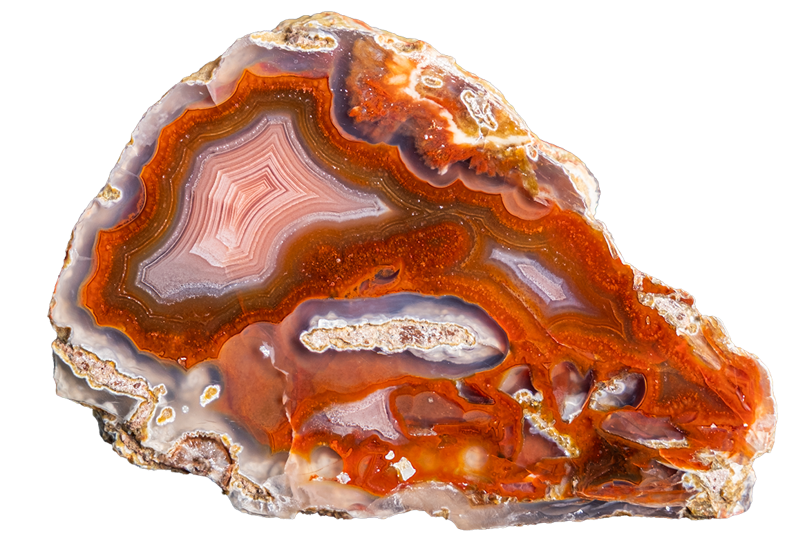 A polished slice of agate stone with concentric bands of orange, brown, cream, and gray, isolated on a solid white background.
