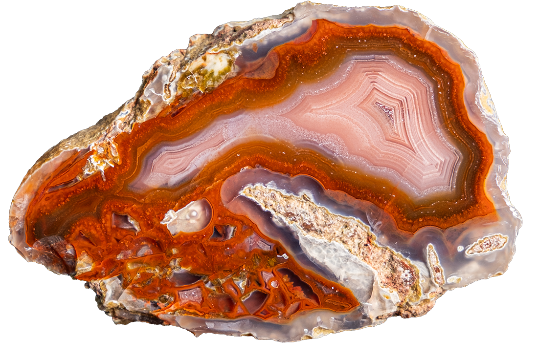 A polished slice of agate or banded stone with concentric bands of orange, red, pink, gray, and white, isolated on a solid white background.