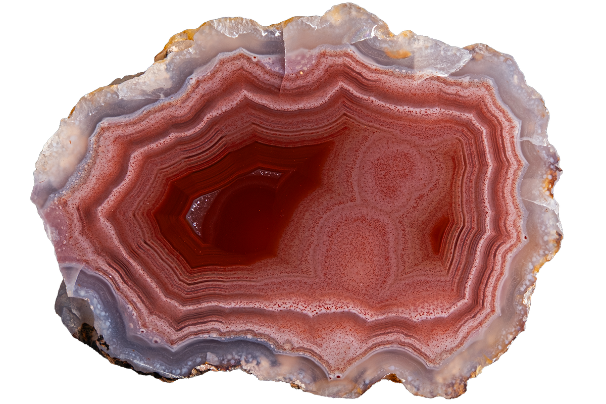 A polished cross-section of agate or jasper stone showing concentric bands of reddish pink, rust, brown, and pale lavender-gray, isolated on a white background.