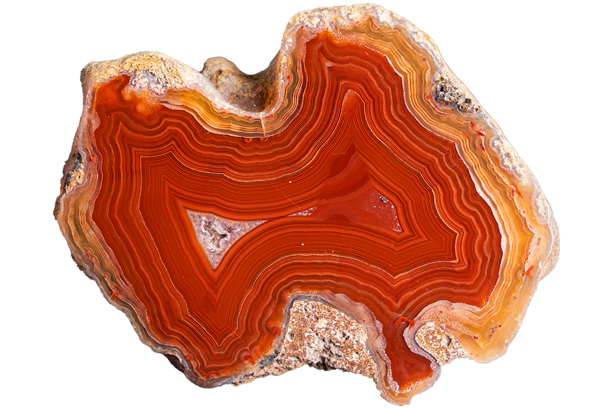 A polished slice of agate or banded stone with concentric bands of orange, red, and amber tones on a plain white background.