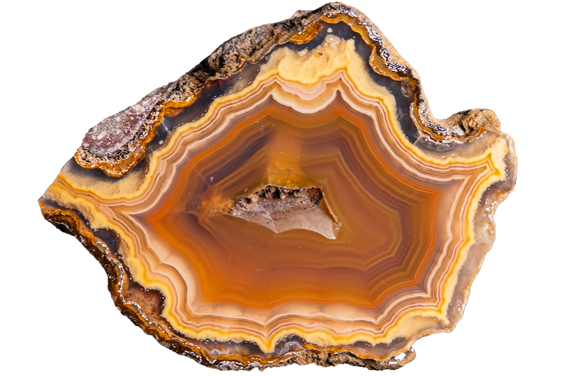 A polished slice of agate geode showing concentric bands of amber brown, golden yellow, and dark charcoal, isolated on a solid white background.