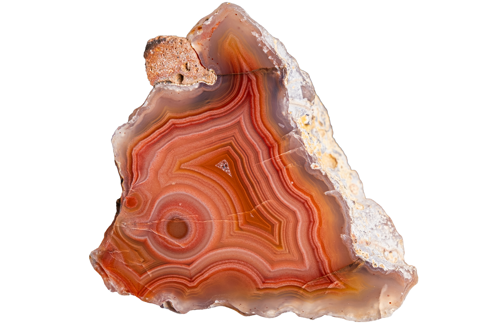 LAGB22-08 | LAGUNA AGATE